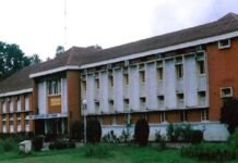 Ms. Arti Chaudhary gets extension as Additional Professor, IGNFA, Dehradun