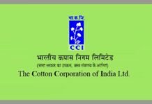 Lalit Kumar Gupta selected as CMD, CCI
