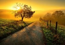 Take the Highway to Health