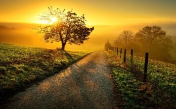 Take the Highway to Health