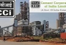 Nijamuddin will continue to hold addl. charge of CVO, Cement Corporation of India