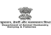 Madhava Rao Chalkapura appointed as Director in D/o Animal Husbandry & Dairying