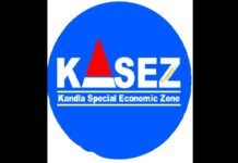 Dinesh Singh appointed as Development Commissioner, Kandla SEZ