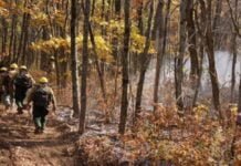 Guidebook unveiled by retired Indian Forest Service Officers to counter Forest Rights Act misuse