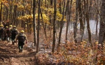 Guidebook unveiled by retired Indian Forest Service Officers to counter Forest Rights Act misuse