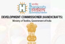 Anuj Ojha appointed as JDC, O/o Development Commissioner (Handicraft)