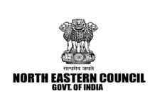 Gaigongdin Panmei gets extension as Financial Adviser, North Eastern Council, Shillong