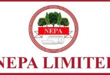 Vinit Kumar appointed as CVO, NEPA Limited