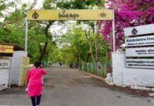 Suresh Kumar Chikkala appointed as Director, Kalakshetra Foundation, Chennai