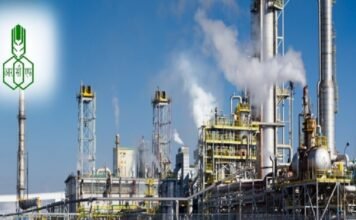 Ritu Goswami appointed as Director (Technical), Rashtriya Chemicals and Fertilizers Ltd