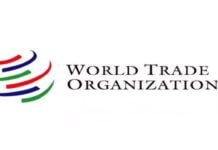 Tanu Singh appointed First Secretary at Permanent Mission of India, WTO, Geneva
