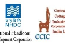 Akanksha Sharma appointed CVO of NHDC & CCIC