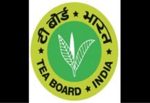 Arunita Phukan Yadav gets one-year extension as Tea Board ED