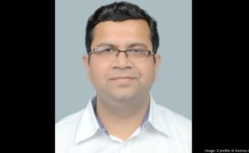 Anshoo Pandey appointed Director in Ministry of Mines