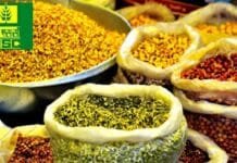 Ashok Kumar selected as Director (Finance), National Seeds Corporation