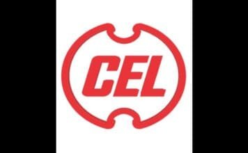 Shankar Narayan selected as CMD of Central Electronics Limited